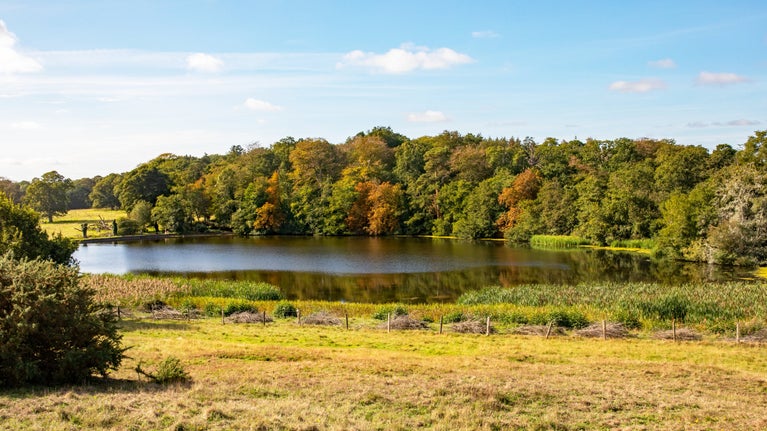 Felbrigg Lake bordered by woodland and reeds, with early autumn colour reflected in the water.